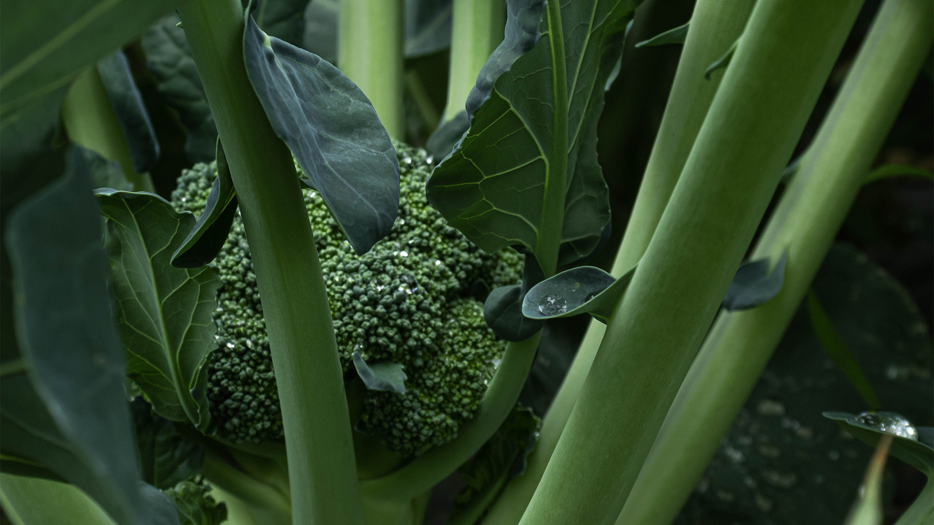 基地(dì)實拍(pāi)